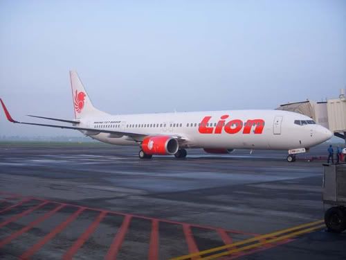 Lion Tapi Wings, Wings Tapi Lion Lion Tapi Wings, Wings Tapi Lion