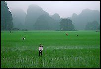 Vietnam5-2.jpg picture by madhedge