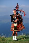 piper1.jpg picture by madhedge