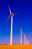 windmill-1.jpg picture by madhedge