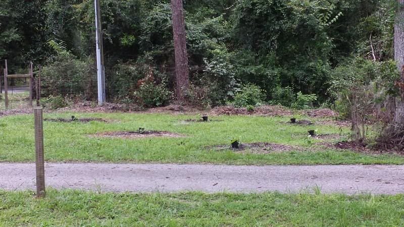  photo 20130717_151458_zpsa2fc852a.jpg