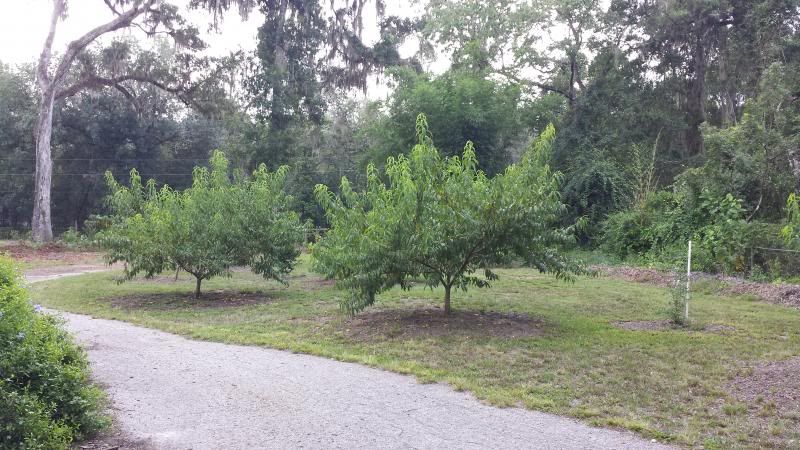  photo 20130814_132241_zpsa9d7ba55.jpg