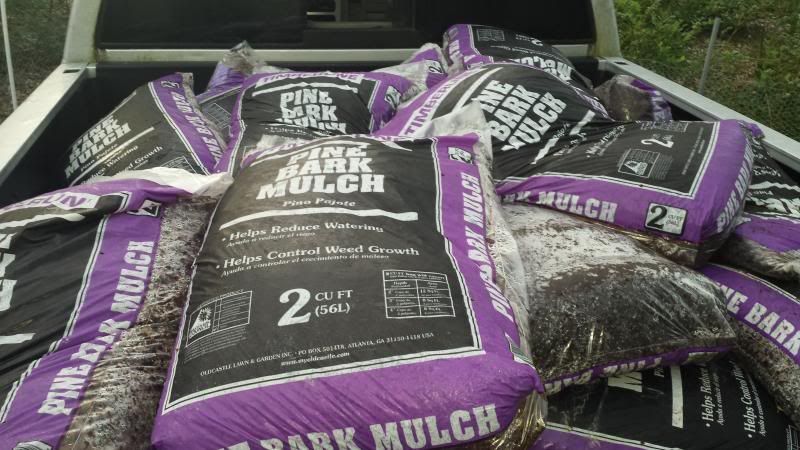  photo 20140415_071059_zpsd7df31a6.jpg