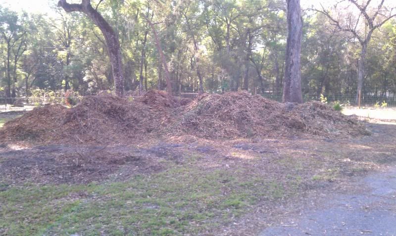 photo IMAG0331_zpsd594cf30.jpg