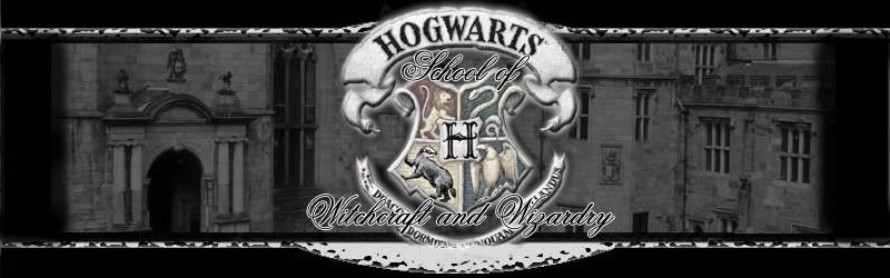 harry potter banner Pictures, Images and Photos