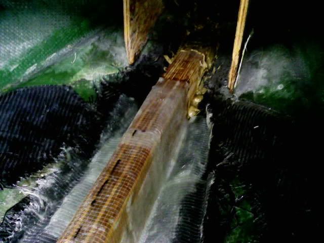 Photo-0006.jpg