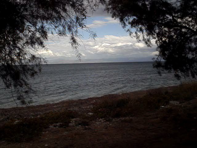 photo MOV01081_zpsbece6fdb.jpg