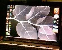 HP dv9000 bị chia đôi màn hình! Nhờ giúp đỡ gấp!!! - 3