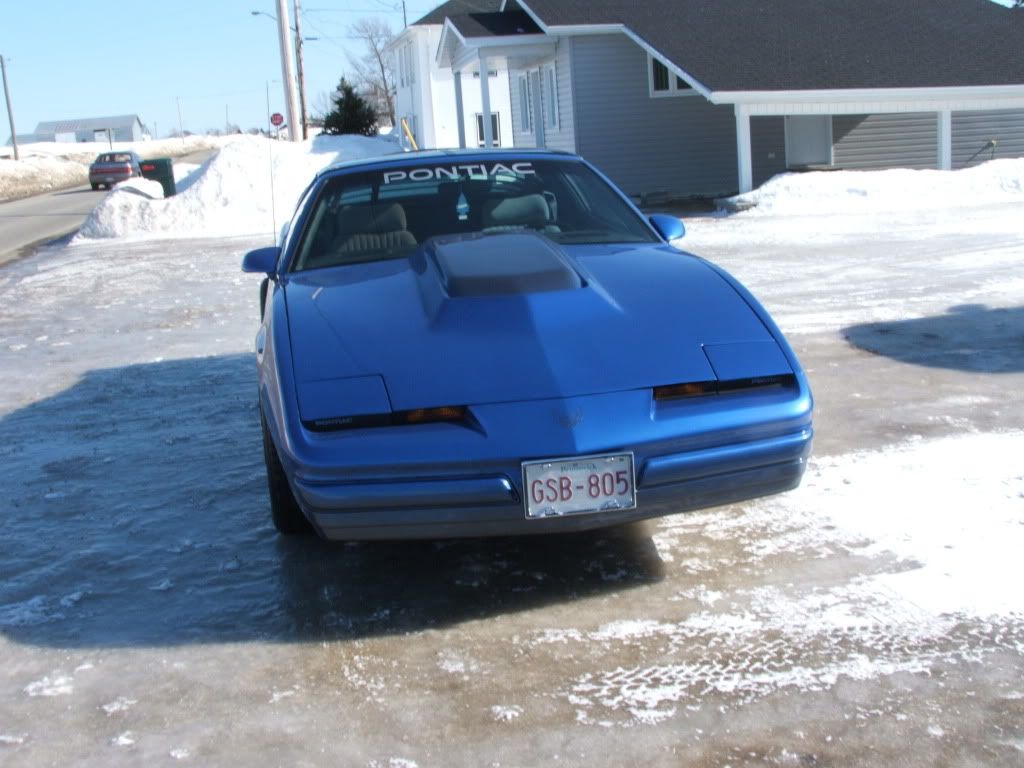 1988 Pontiac Firebird Image