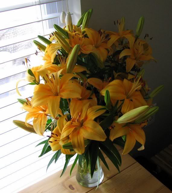 yellow lilies