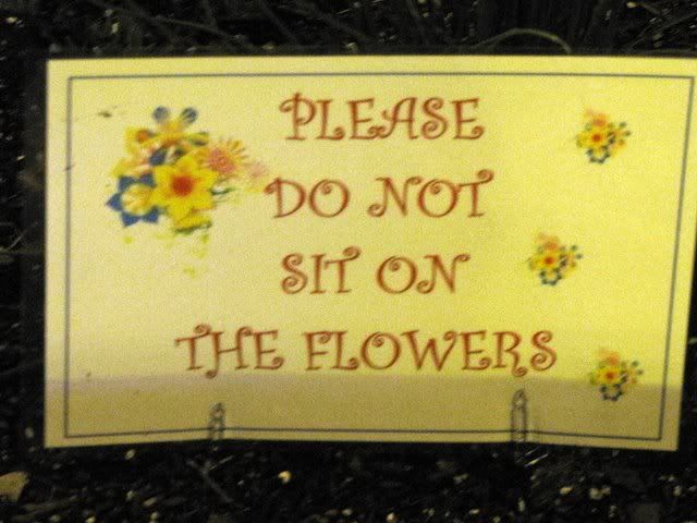 don't sit on the flowers