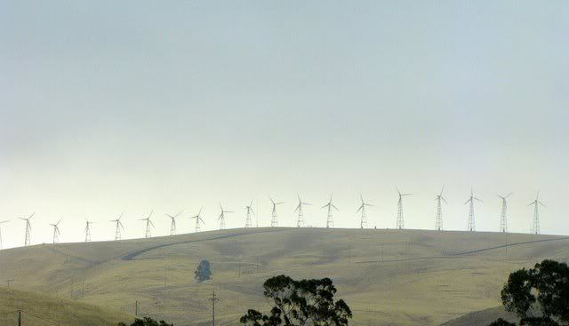 windmills on the way to yosemite 300509