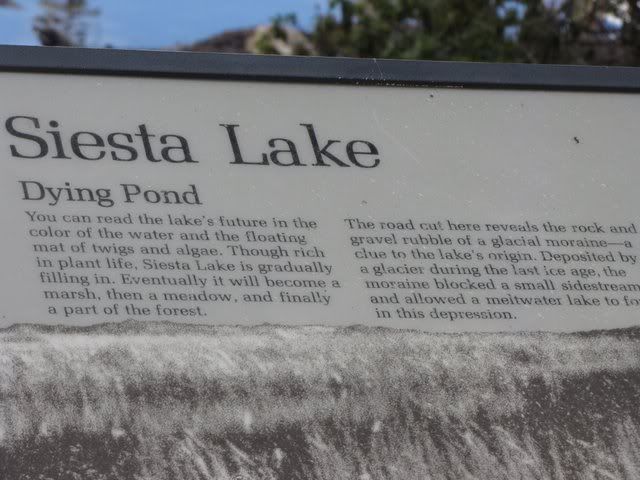 siesta lake