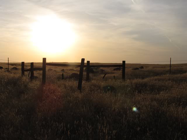 grassland sunset 310509