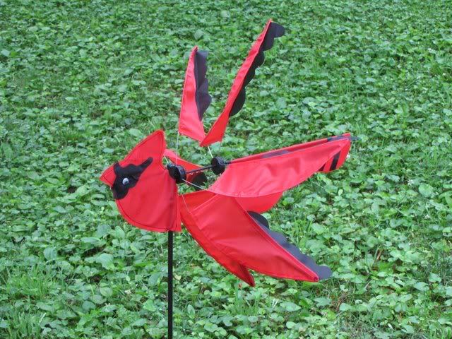 red cardinal windmill 150609
