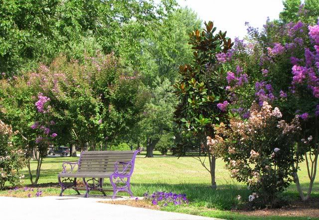 090809 purple bench tower grove park