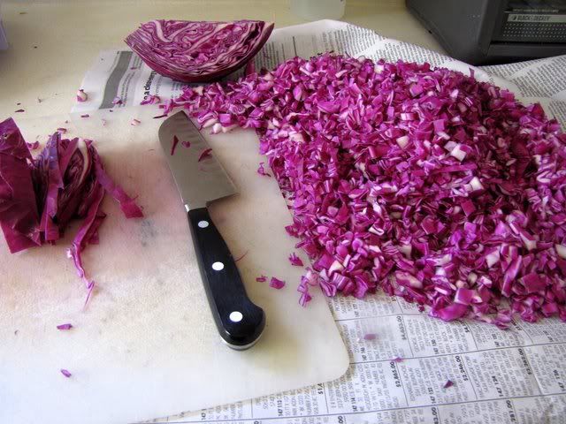 red cabbage 120809