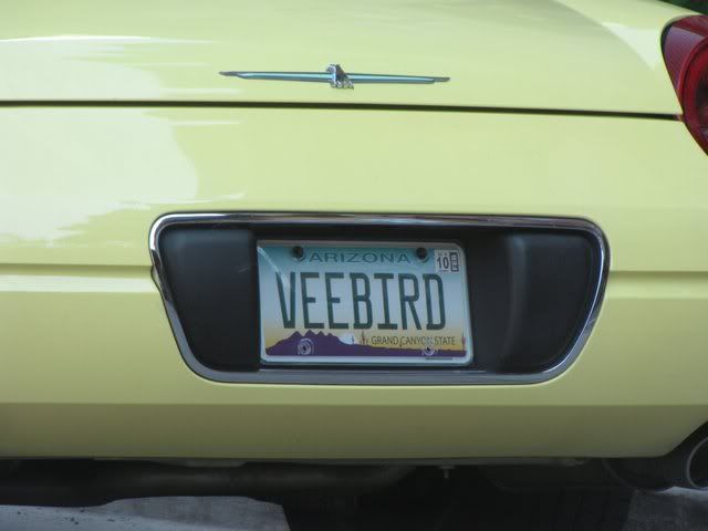 veebird no plate 180809