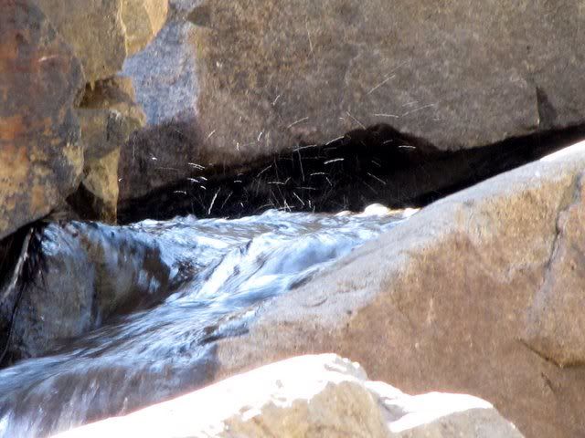 water in eagle falls