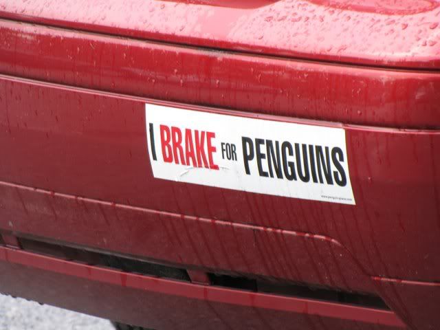 I brake for penguins sign 070909