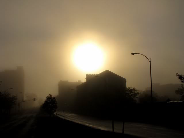 morning mist debaliviere 101009