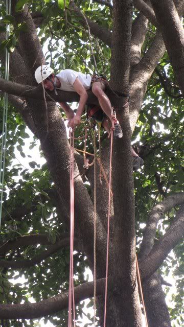 Edward setting up the ropes 301009