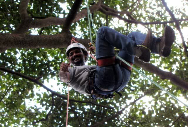 gowri tree-climbing 301009