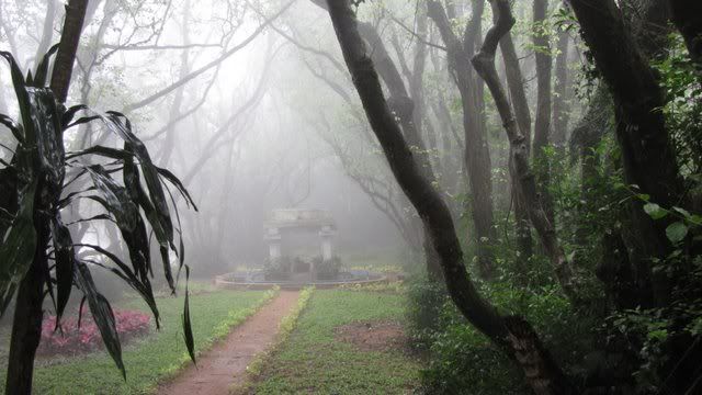 pavilion mist no people