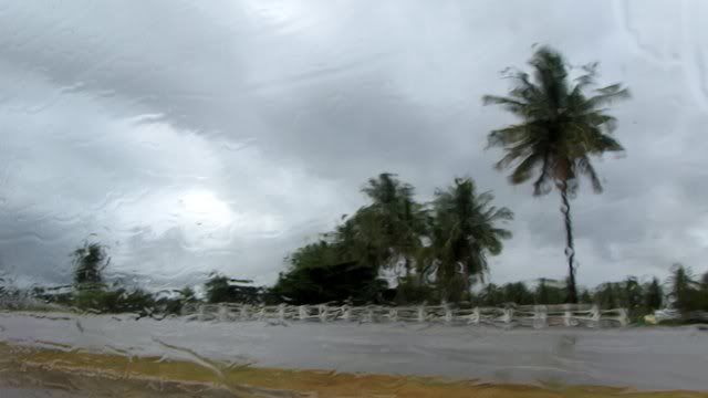 scenery through the car window 071109