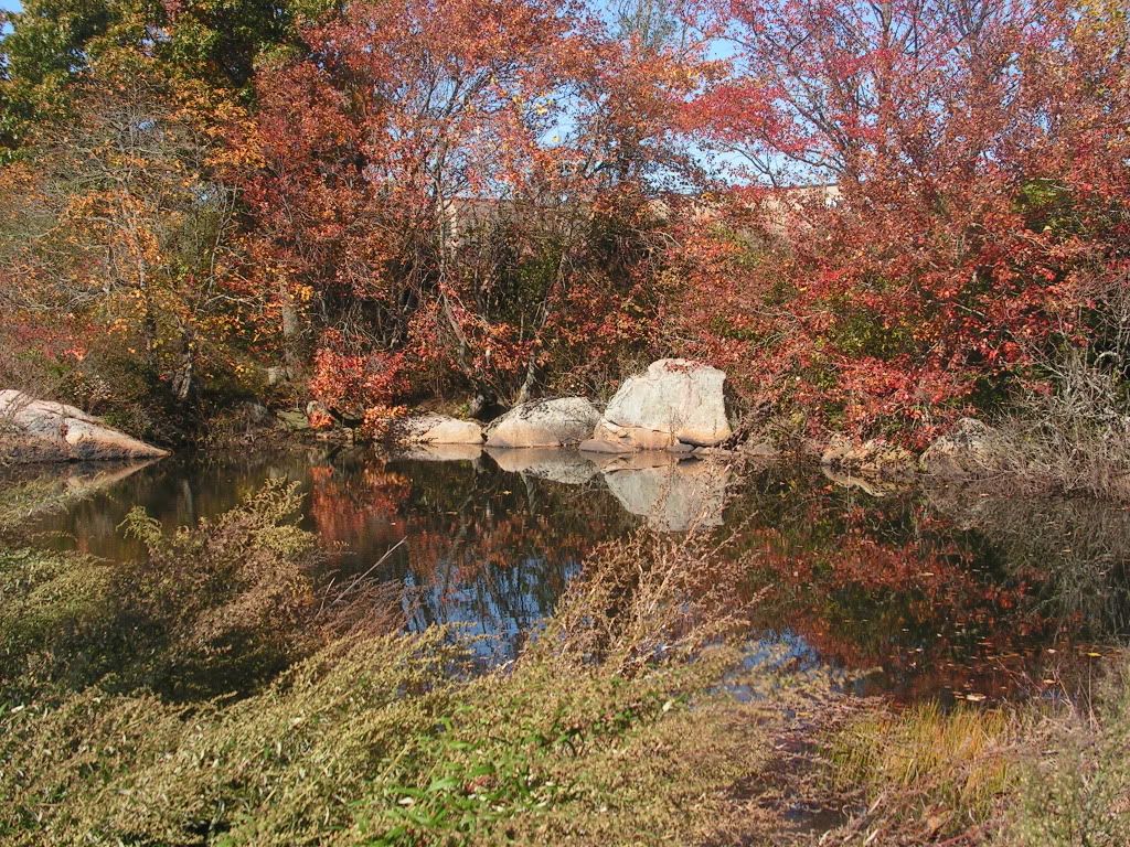 bikepond5