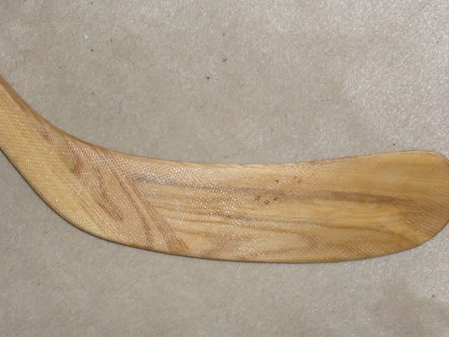 SDC10026.jpg