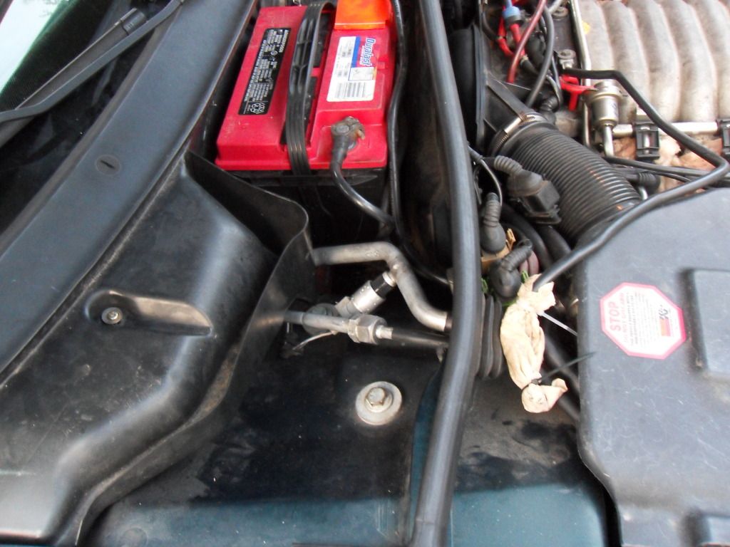 one more close up view