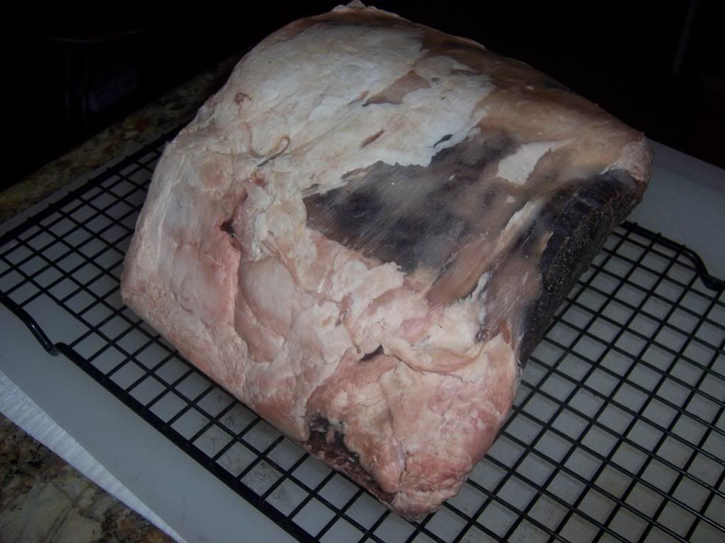 100_3821.jpg