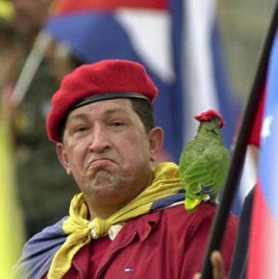 Chavez.jpg picture by madhedge