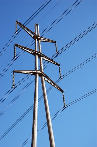 Powerlines.jpg picture by madhedge