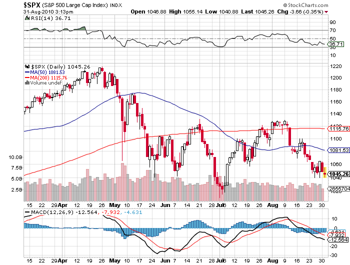 S&P 500 Large Cap Index