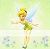 Tinkerbell.jpg picture by madhedge