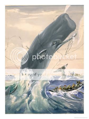 Whale1.jpg picture by madhedge