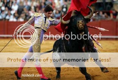 bullfight1.jpg picture by madhedge
