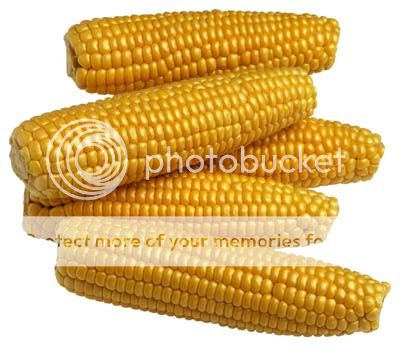 corn-4.jpg picture by madhedge