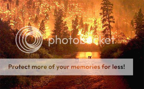forestfire-1.jpg picture by madhedge