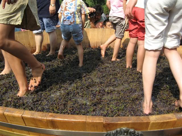 grapestomp.jpg picture by madhedge