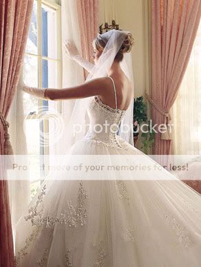 Gorgeous Lace Tulle Princess Bridal Wedding Dress Gown  