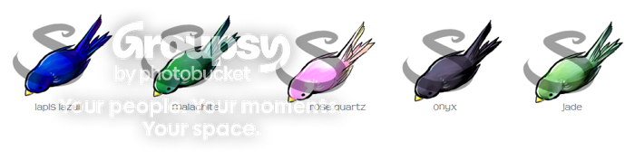 User Image