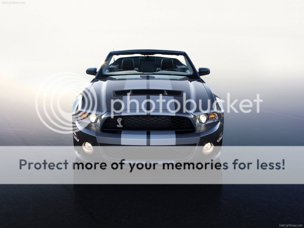 Background ford mustang myspace #8